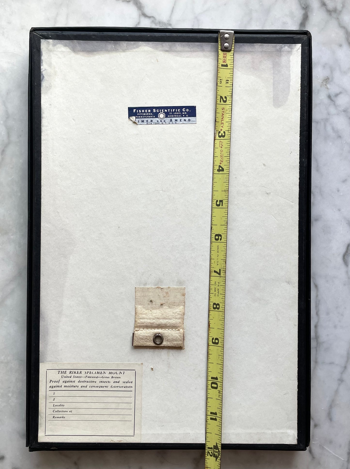 Butterfly Specimens | Vintage Riker’s Case