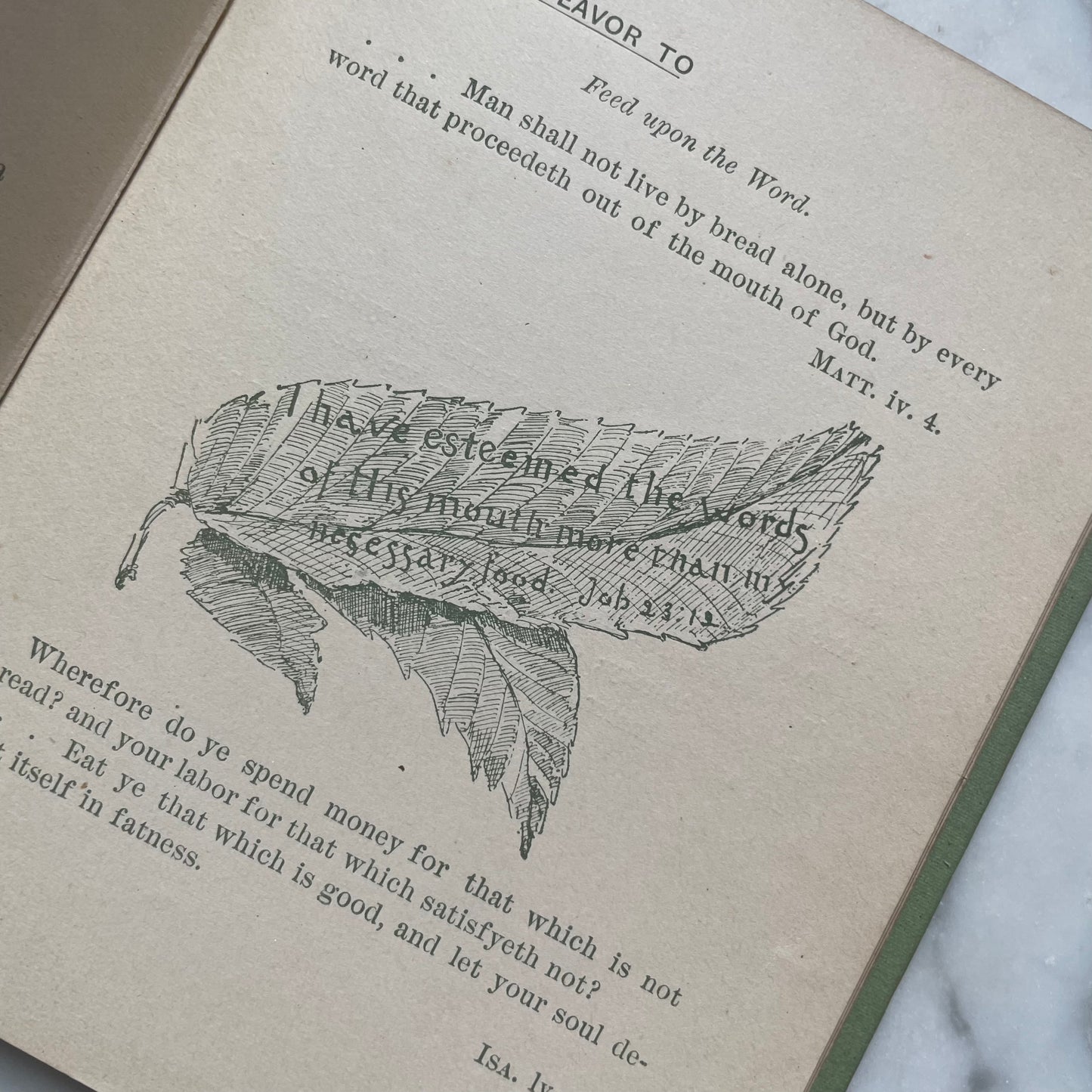 Living Leaves for Christian Endeavor
