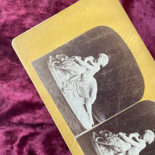 Leda & the Swan | Antique Stereocard