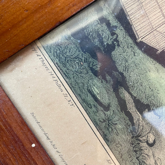 Early Sorrow | Victorian Mourning Print for a Pet Bird