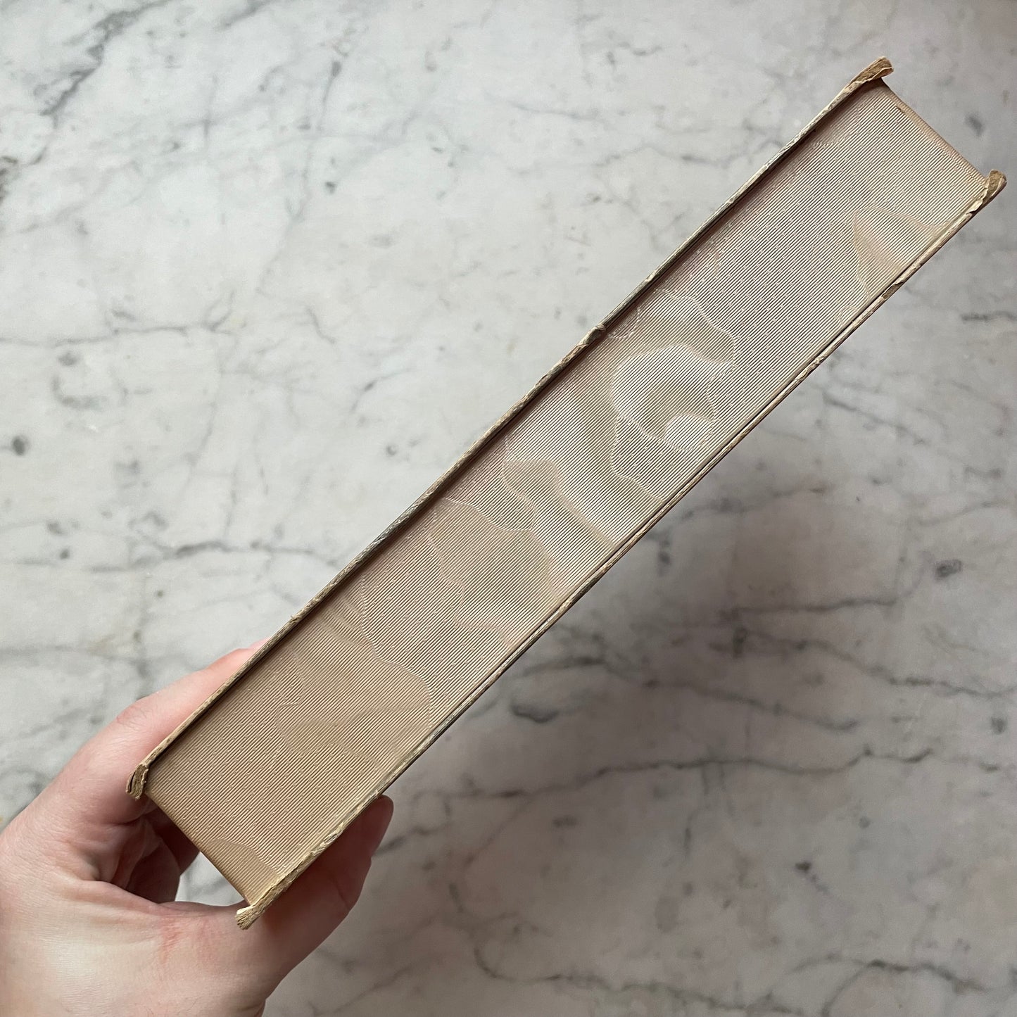 Antique Edwardian Chocolate Box