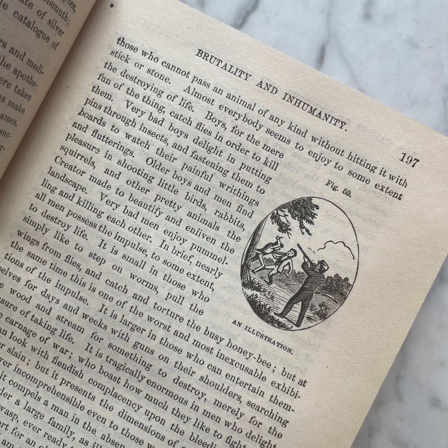 Victorian Medical Book | Plain Home Talks | 1858