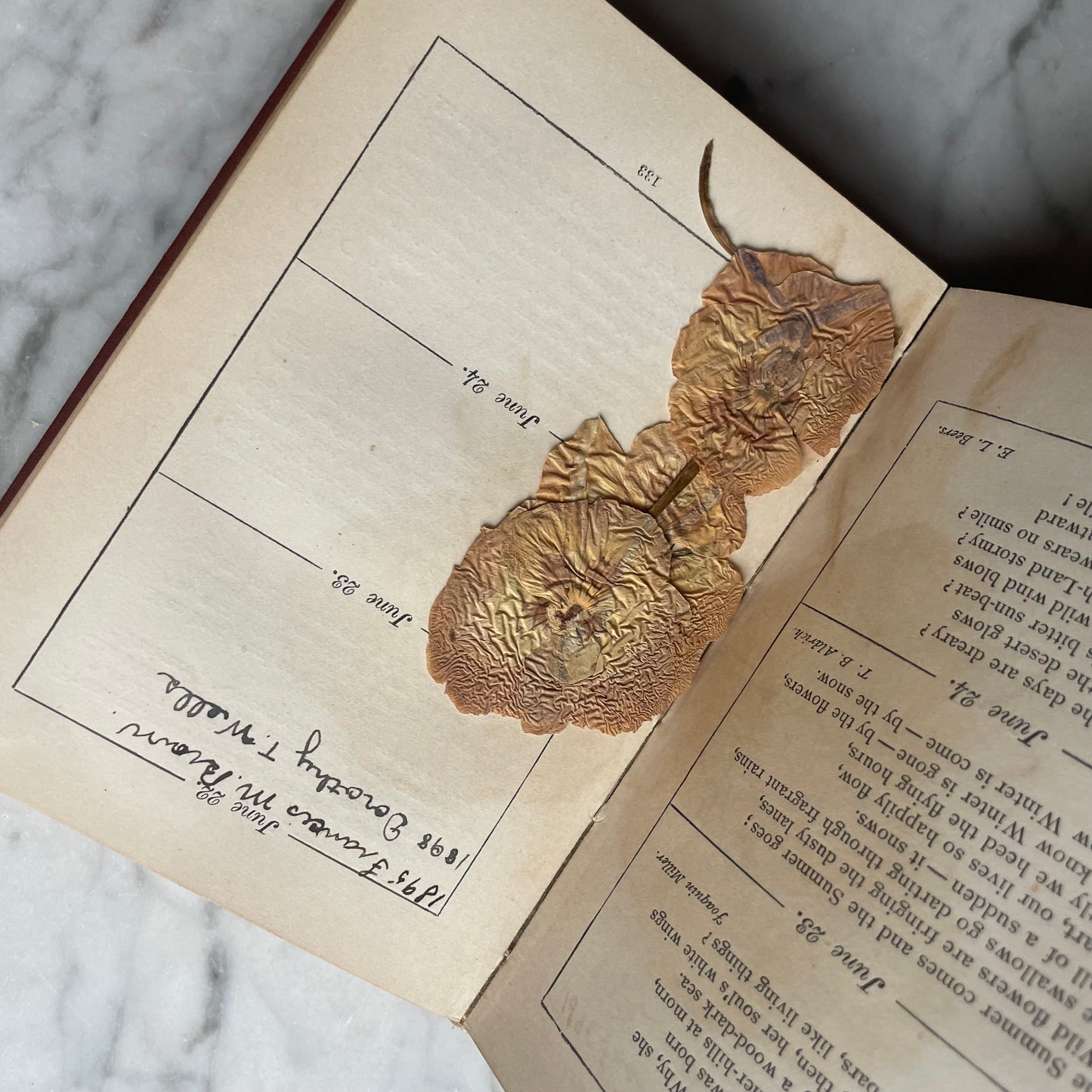 Illustrated Birthday Book of American Poets