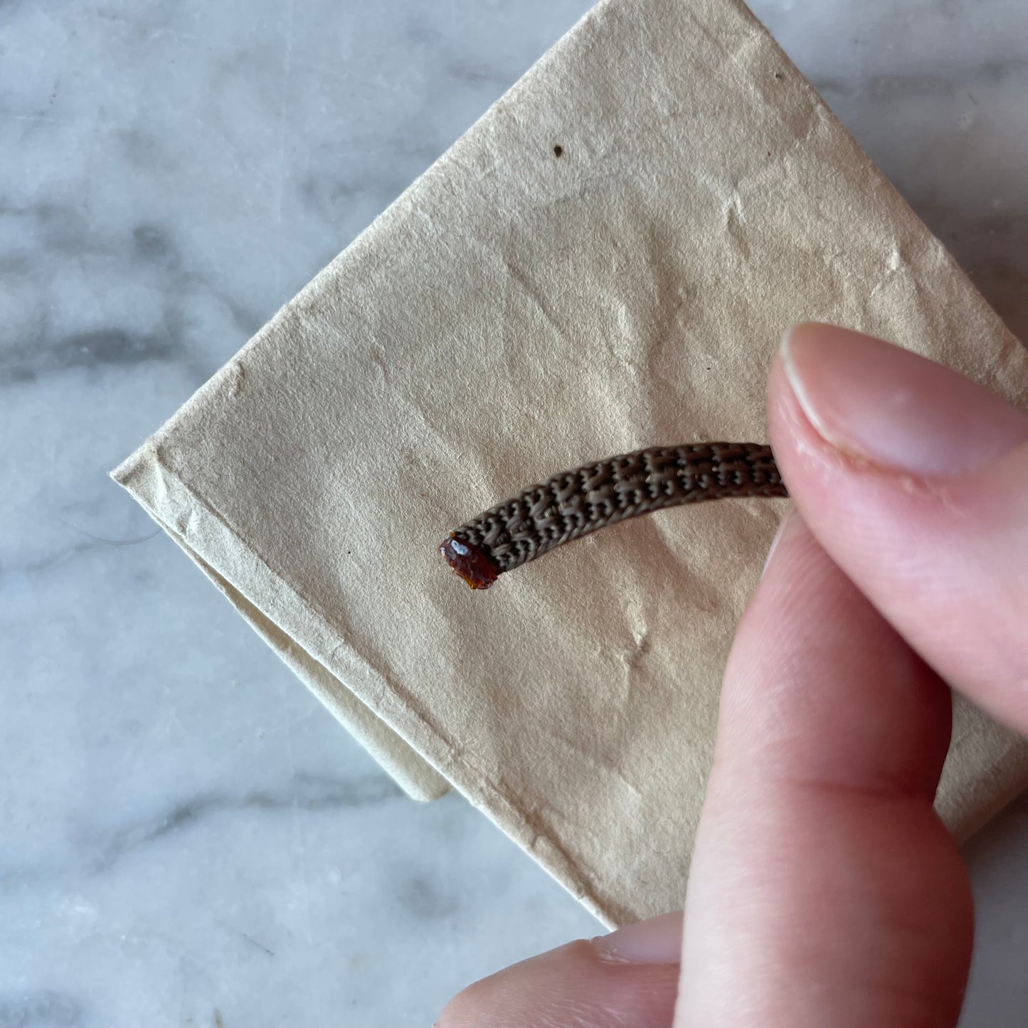 Victorian Hair Keepsakes