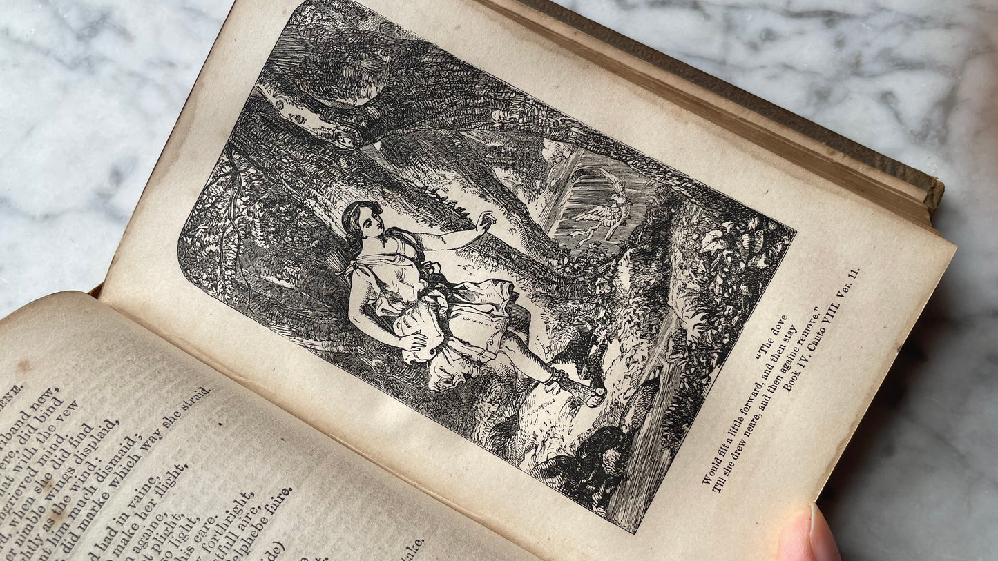 The Faerie Queene | Edmund Spenser | 1859