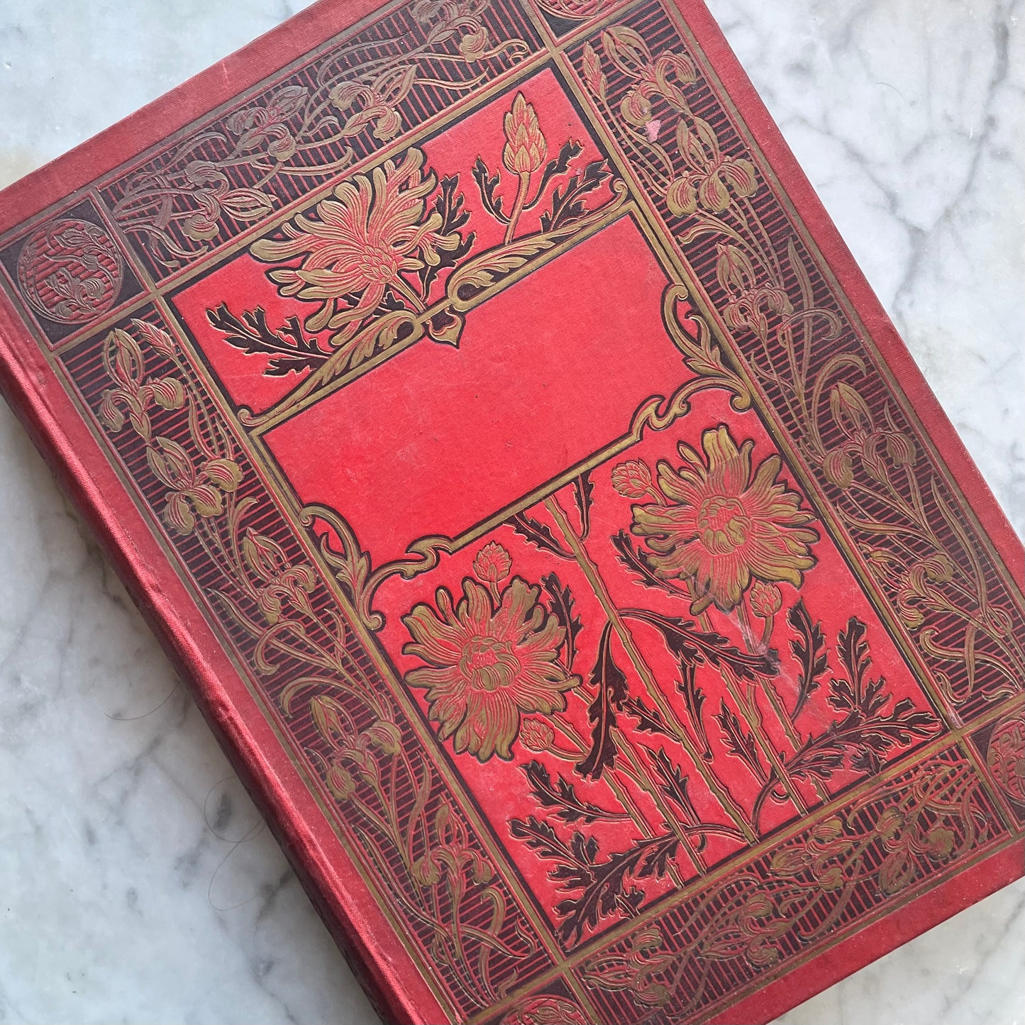 Journées Mémorables | French Art Nouveau Binding