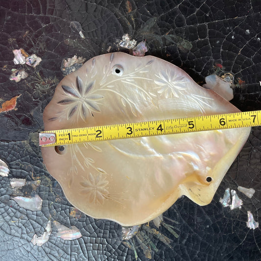 Vintage Mother of Pearl Shell