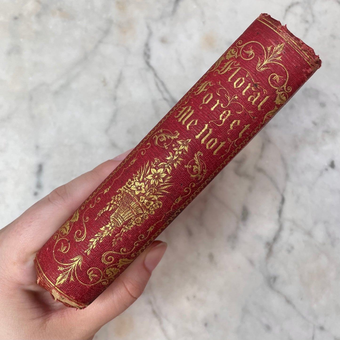 Floral Forget Me Not| The Language of Flowers | 1854