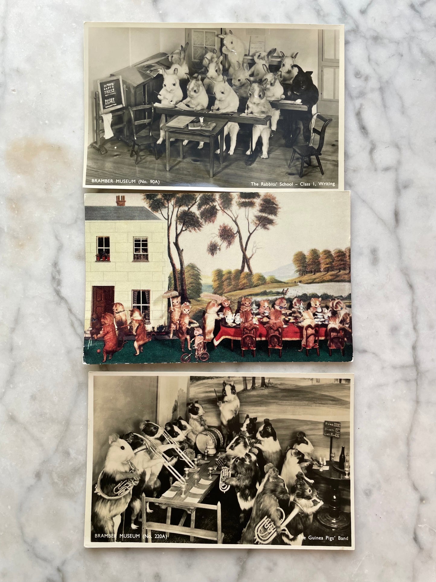 Vintage Walter Potter Taxidermy Postcards | Bramber Museum Souvenirs