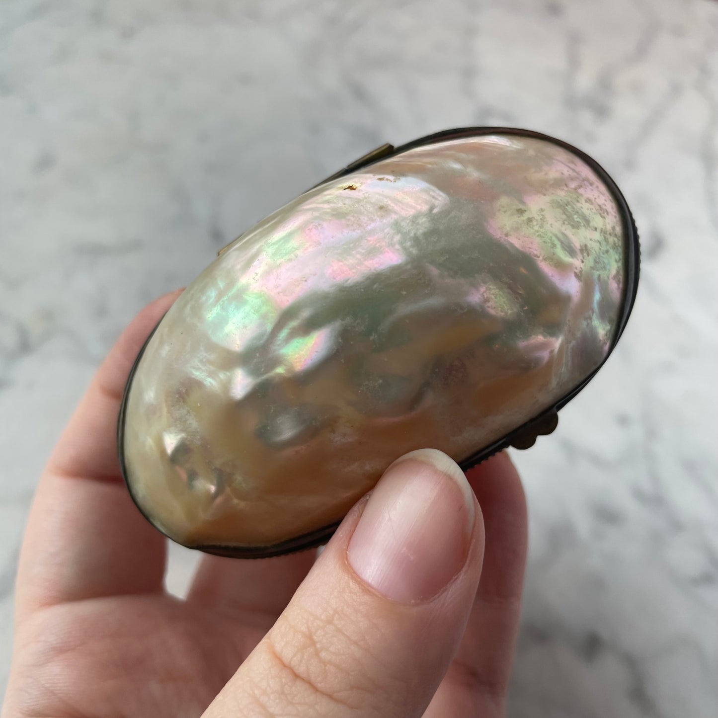 Antique Pearl Shell Box