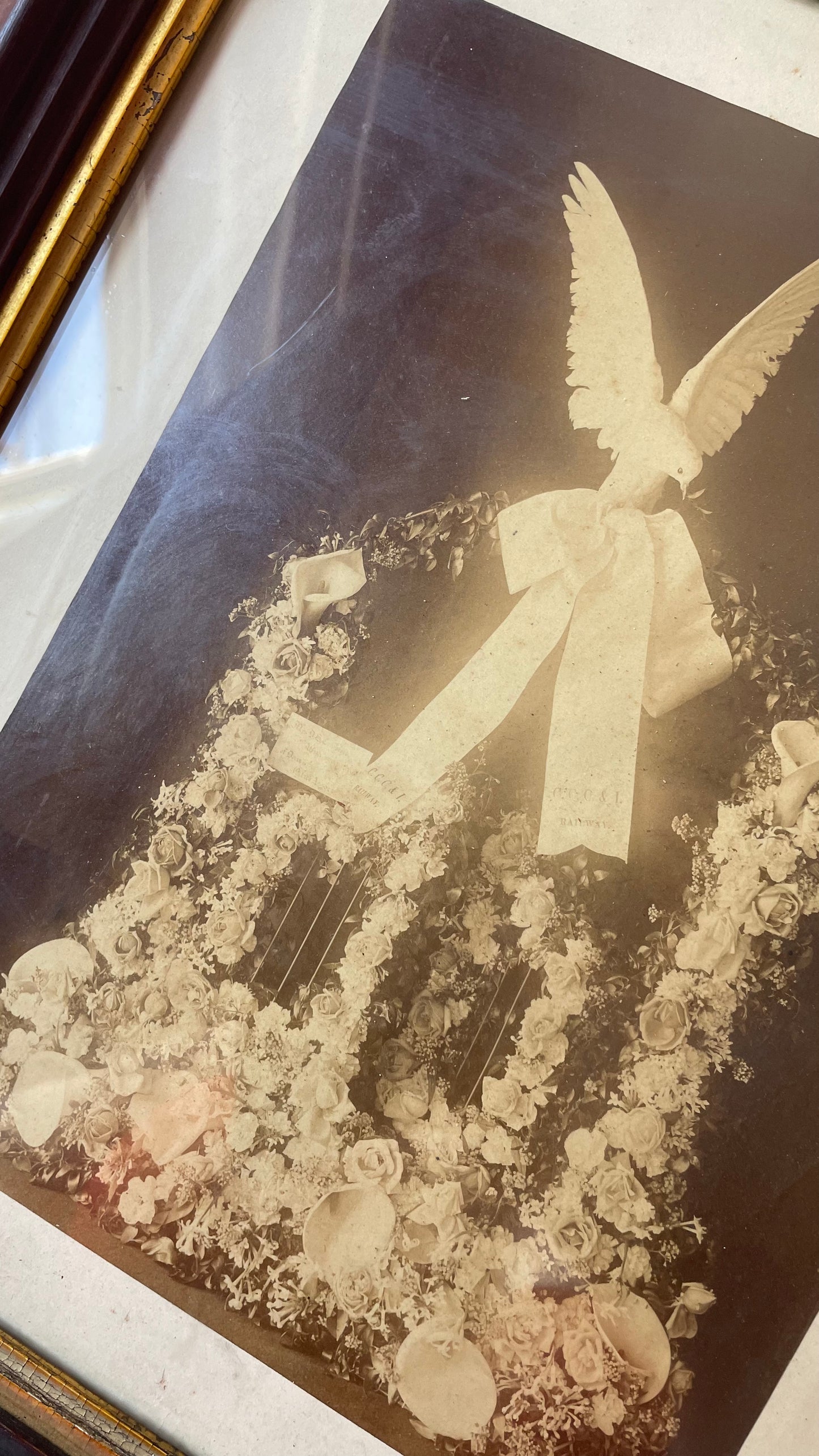Victorian Memorial Photo | Large Format Funeral Flowers with Dove in Wooden Frame | The Gates Ajar