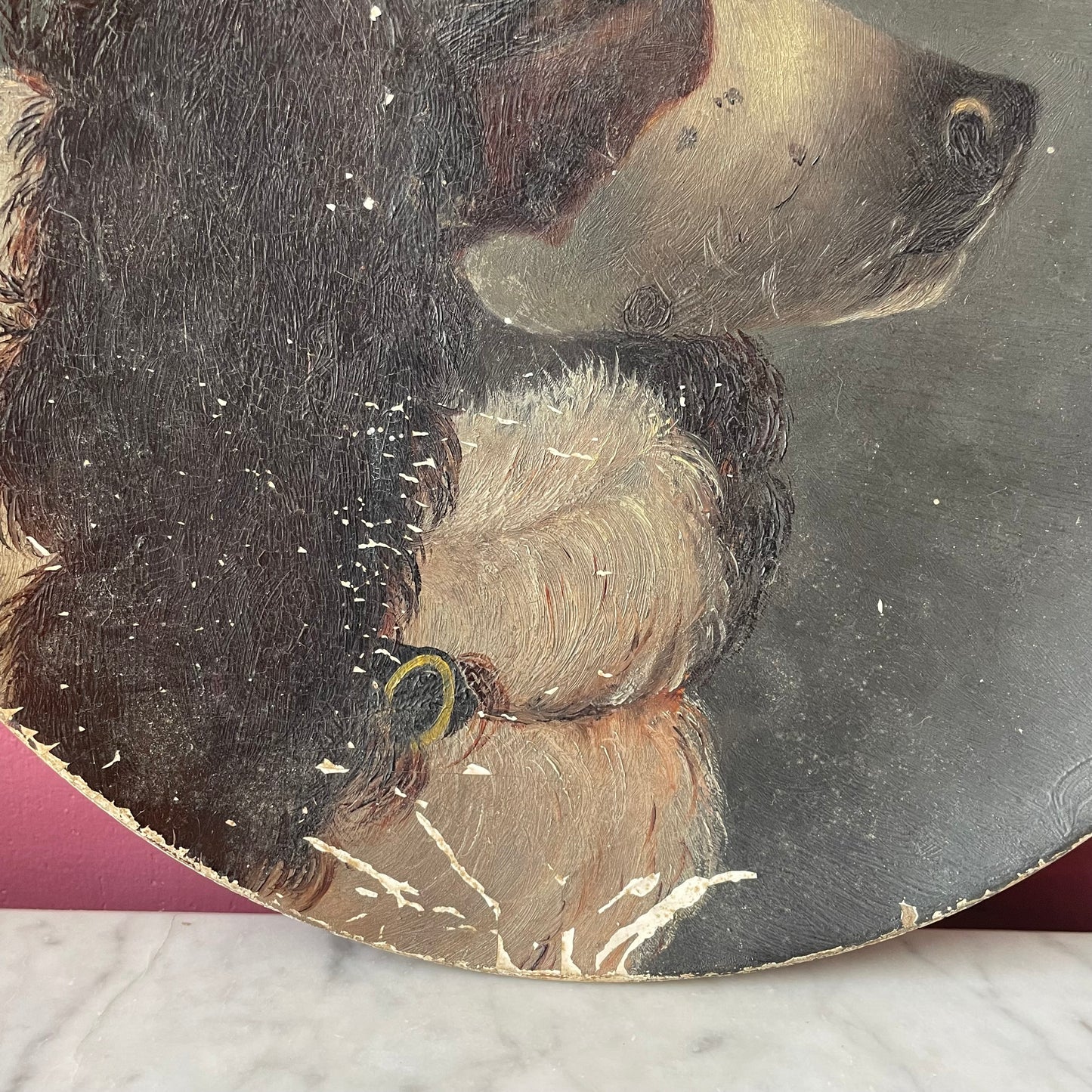 Victorian Portrait Plate of a Dog
