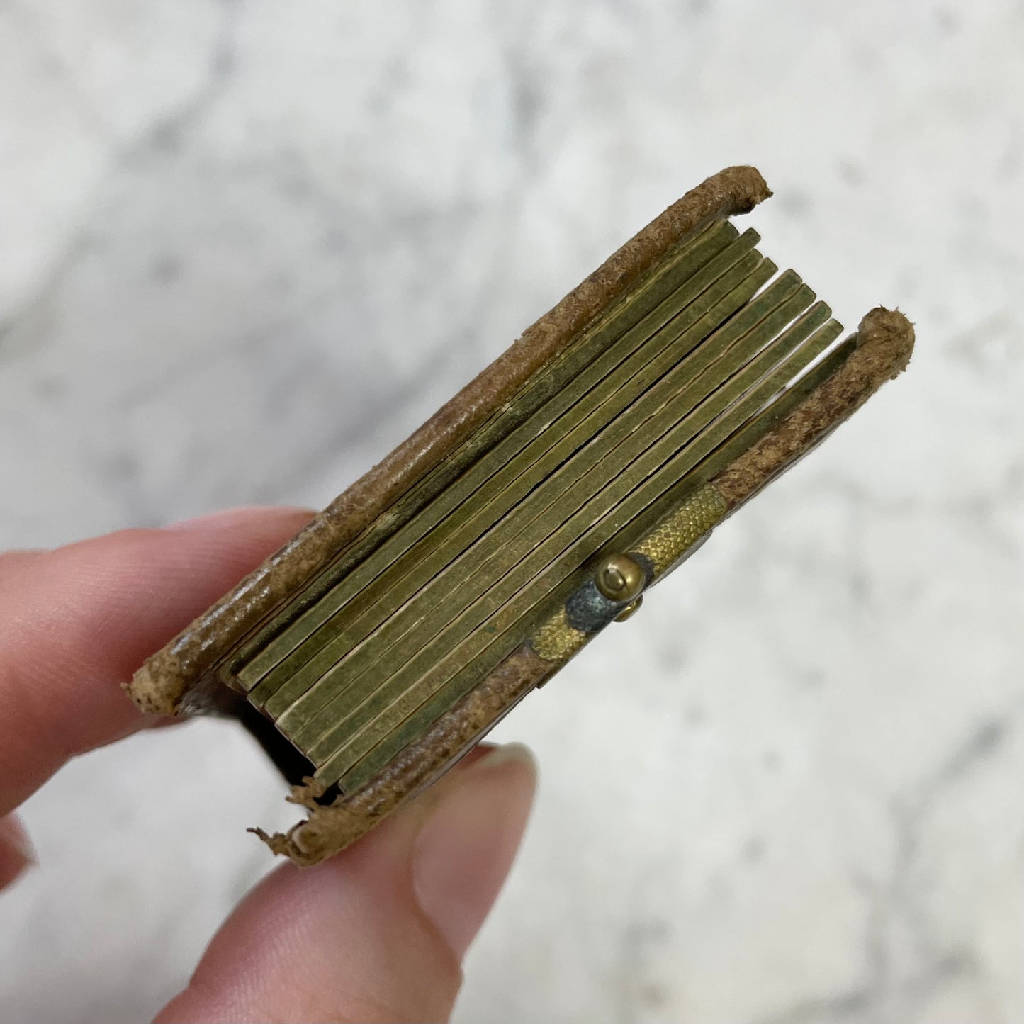 Victorian Gem Tintype Photo Album | “Fairy Album”