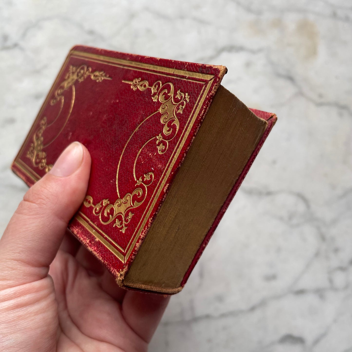 Victorian Miniature Leather Prayer Book | English & German
