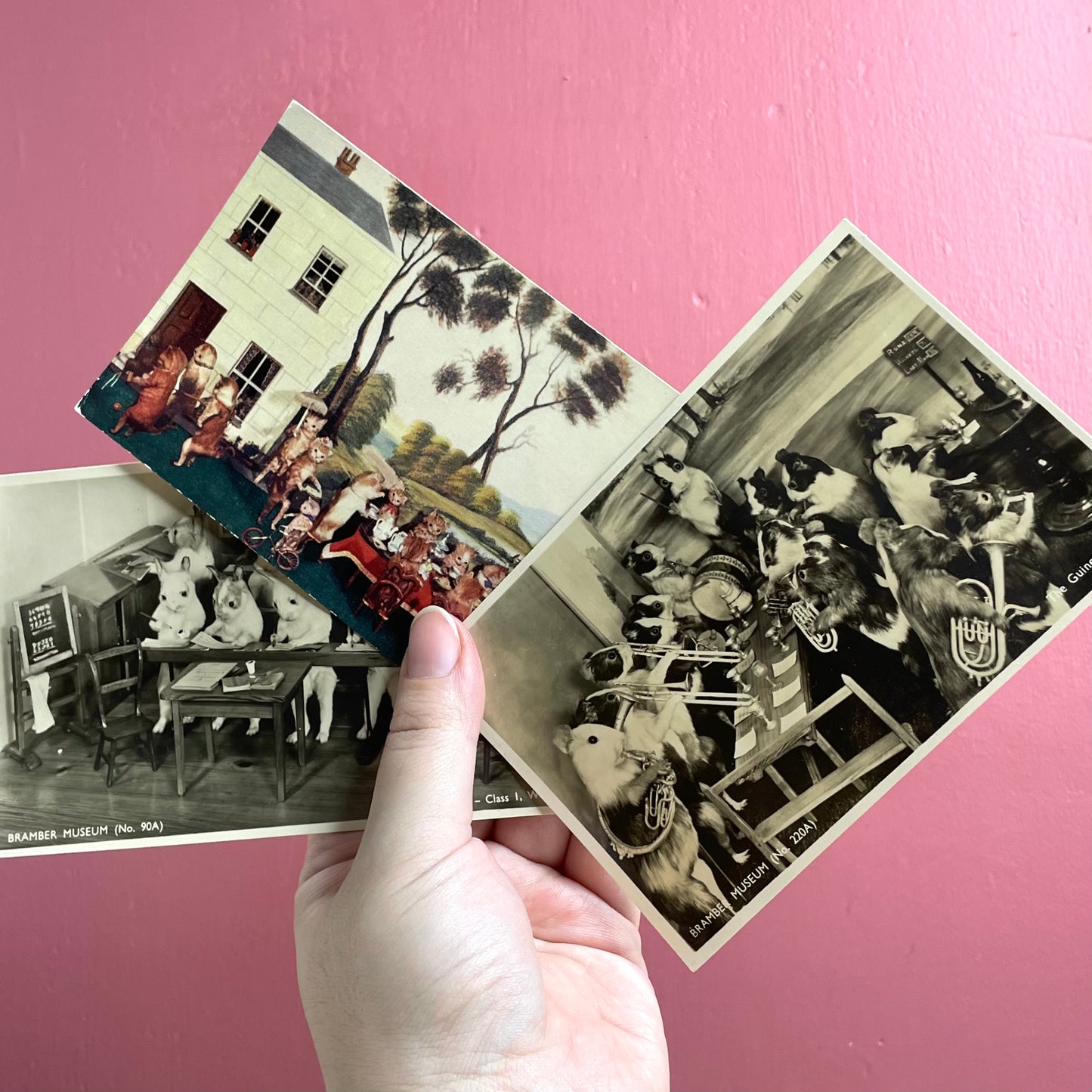 Vintage Walter Potter Taxidermy Postcards | Bramber Museum Souvenirs