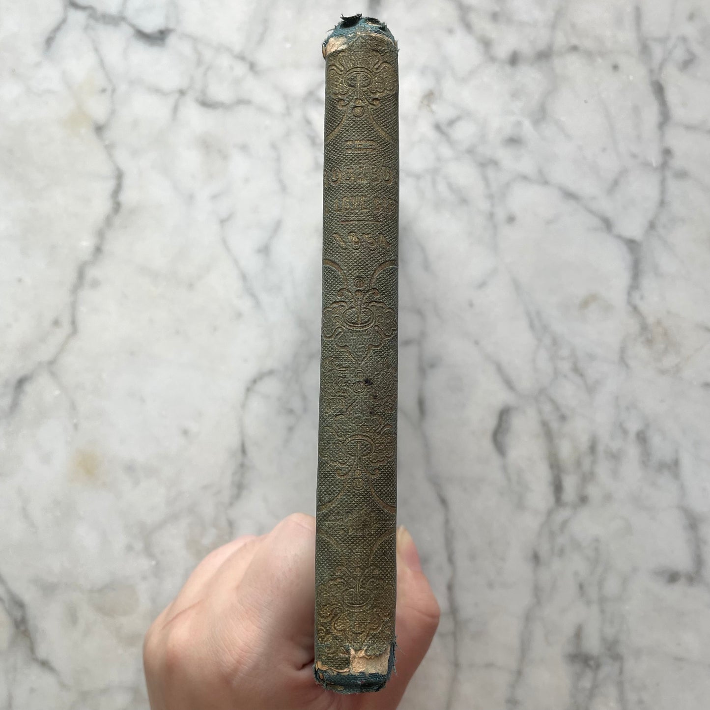 The Rosebud: A Love Gift for Young Hearts | 1854 | Mourning & Consolation