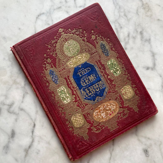 Victorian Mourning Album | Frances Eliza McCool | Portage, IN | 1858-1870s