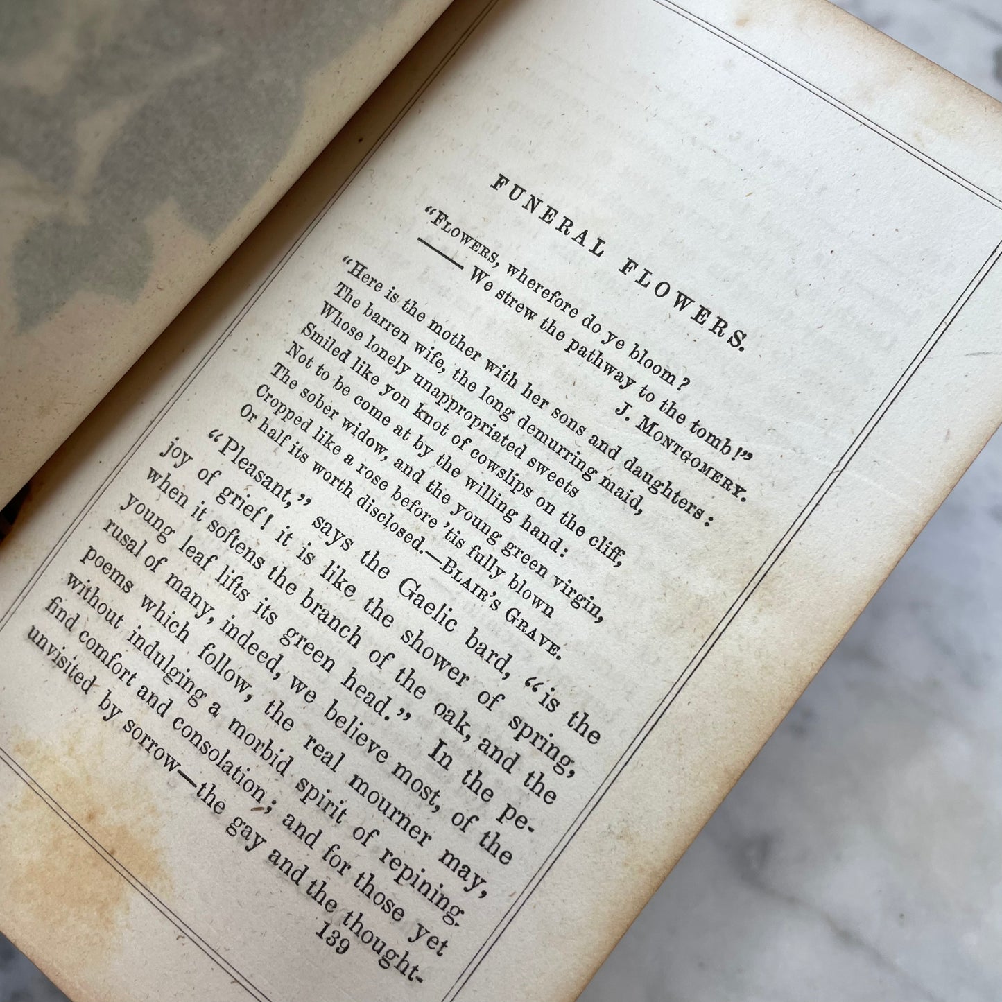 Floral Forget Me Not| The Language of Flowers | 1854