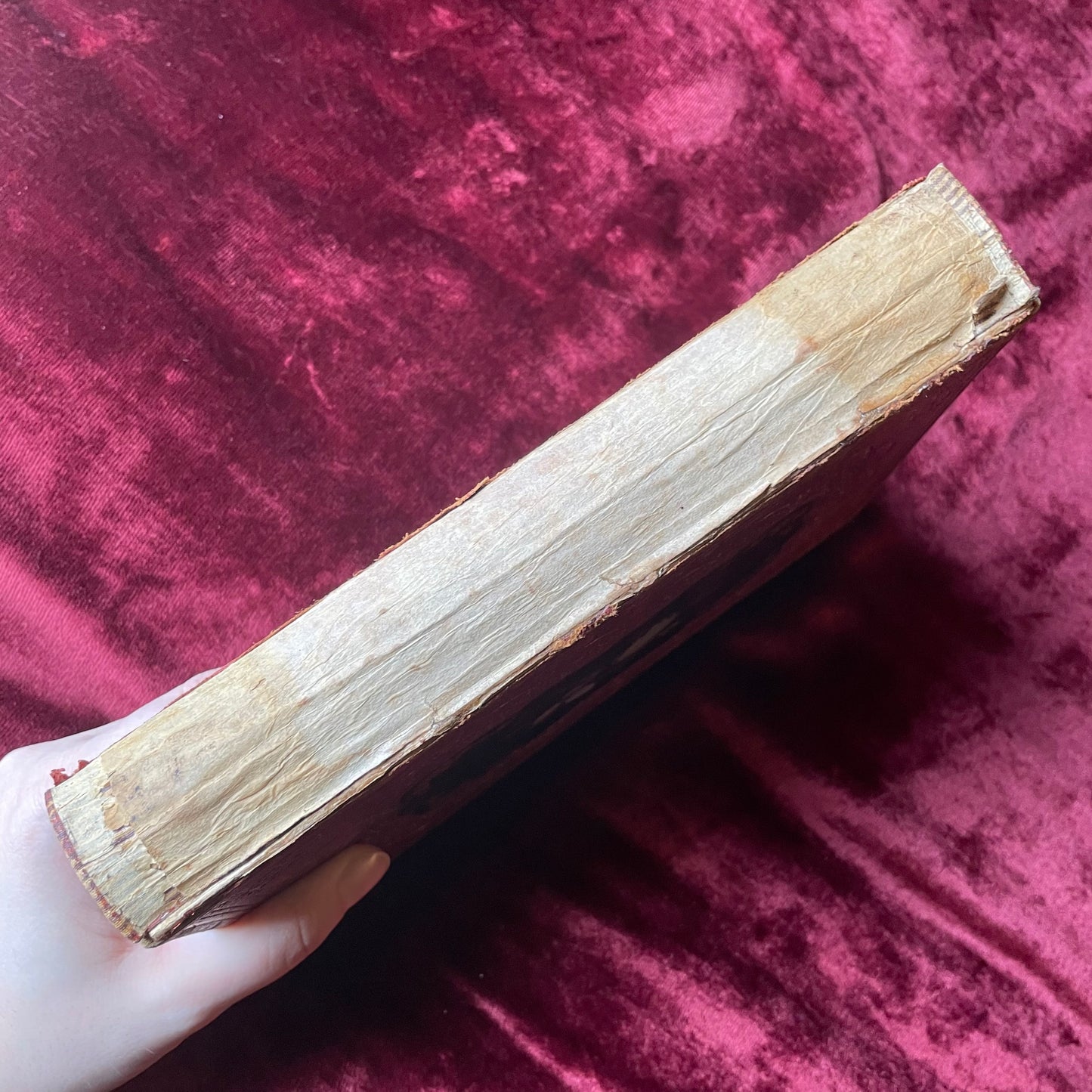 The Iris | Victorian Gift Book with Pearl Inlaid Cover