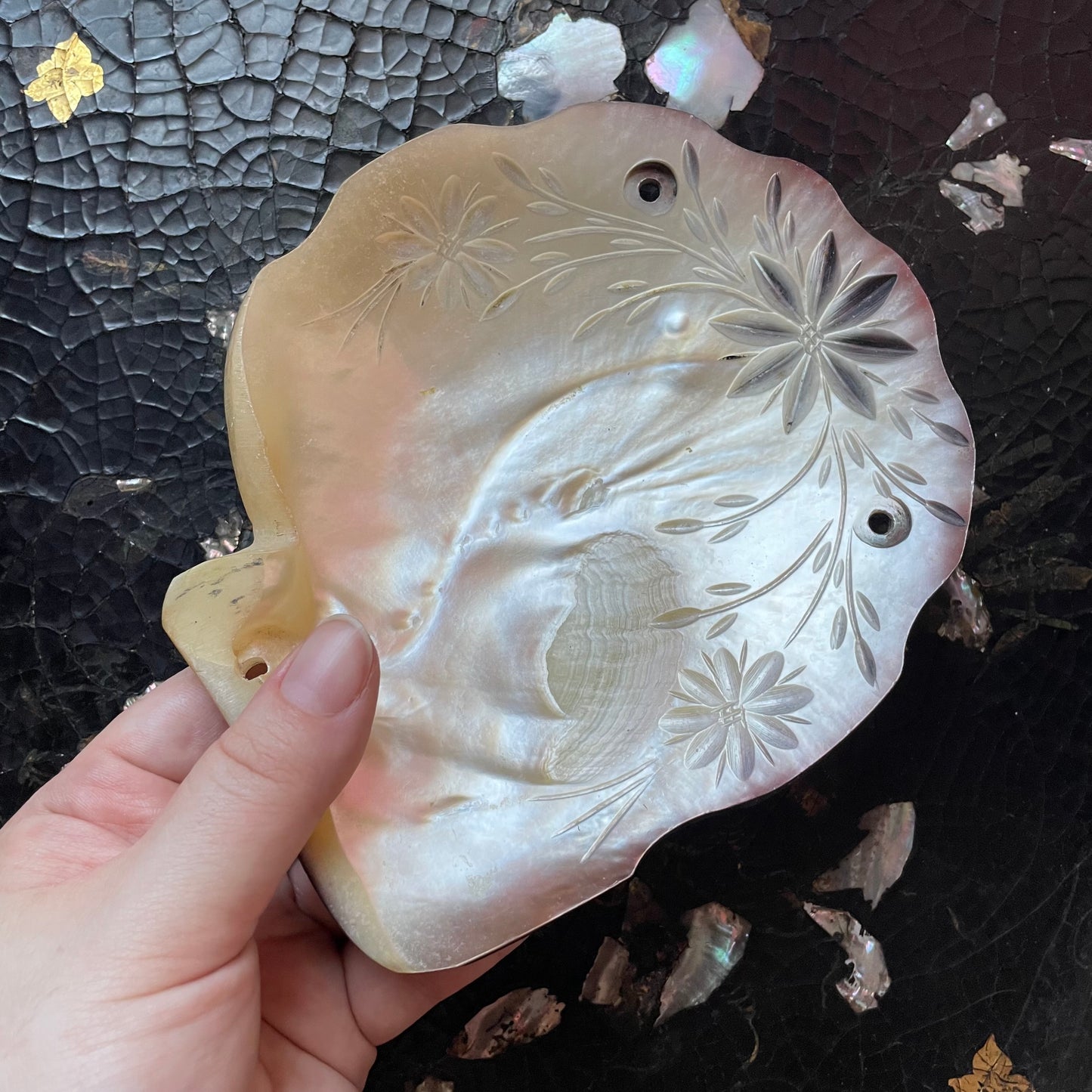 Vintage Mother of Pearl Shell