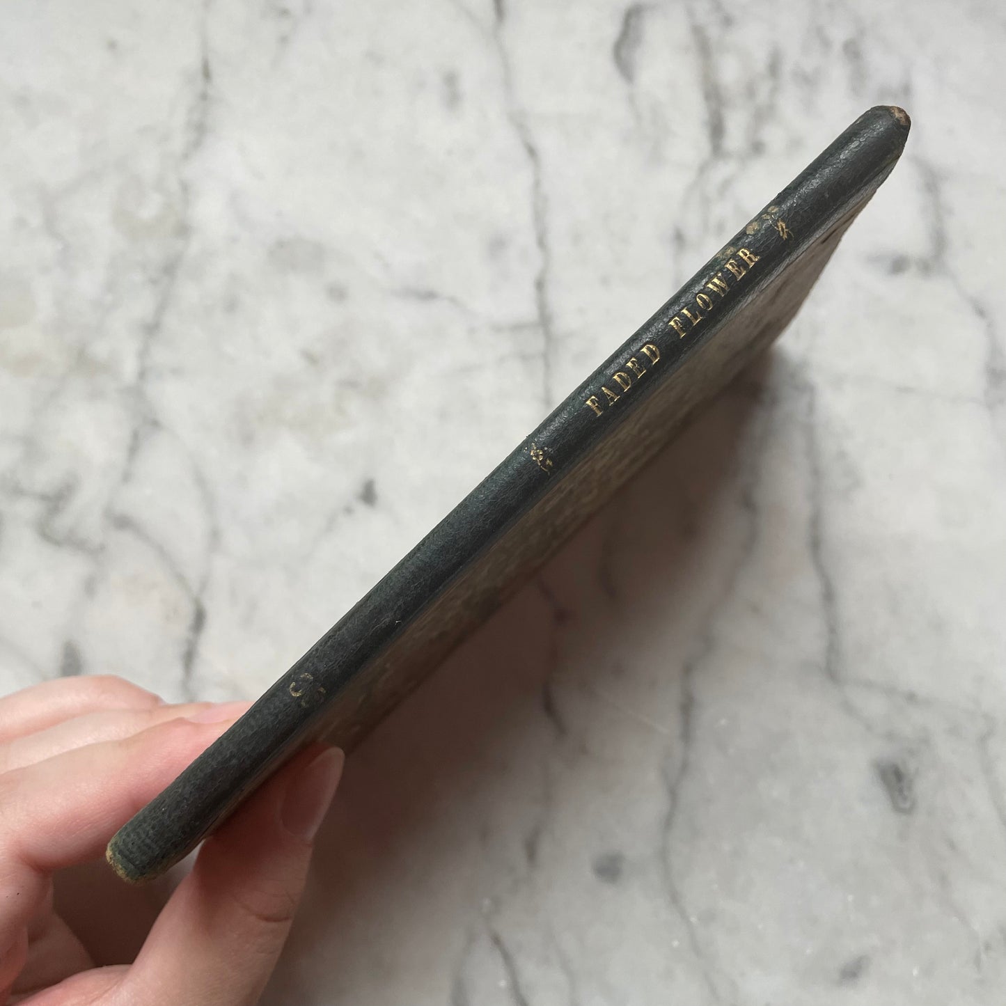 The Faded Flower | Victorian Mourning Book | 1843
