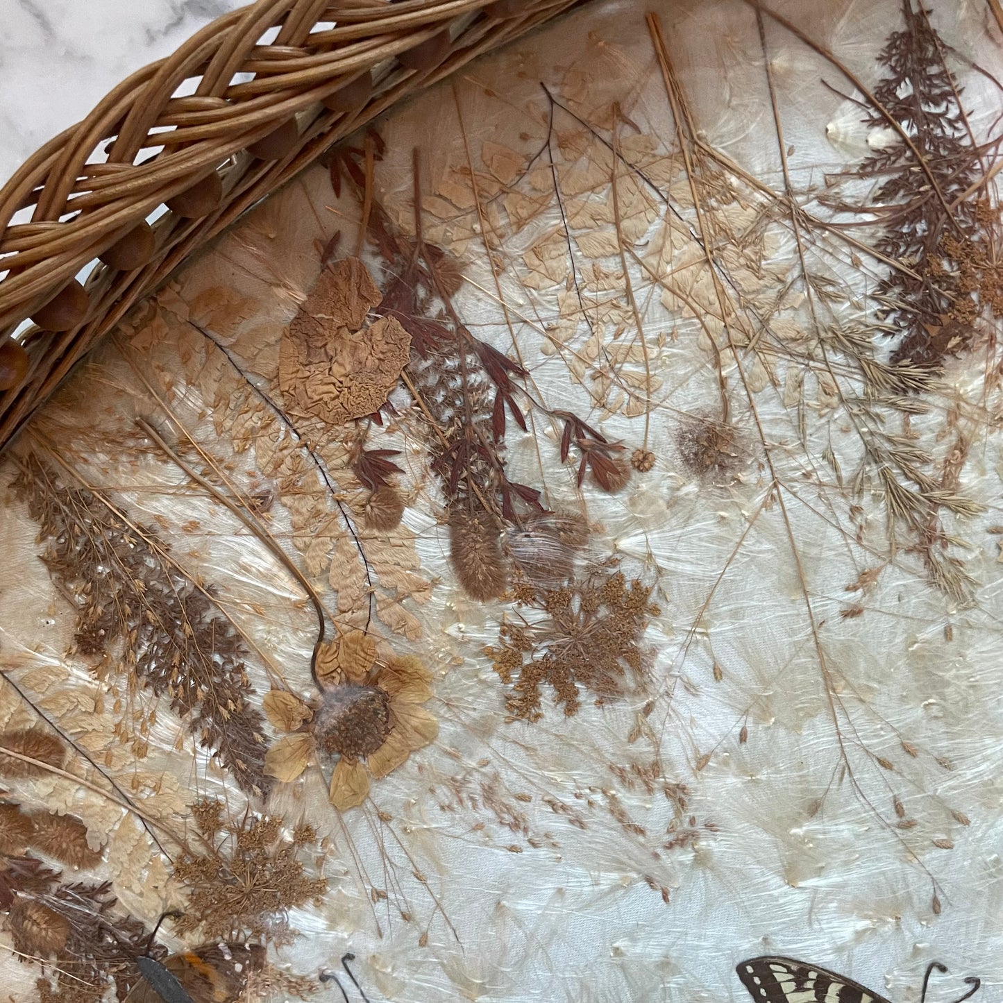 Vintage Butterfly Tray