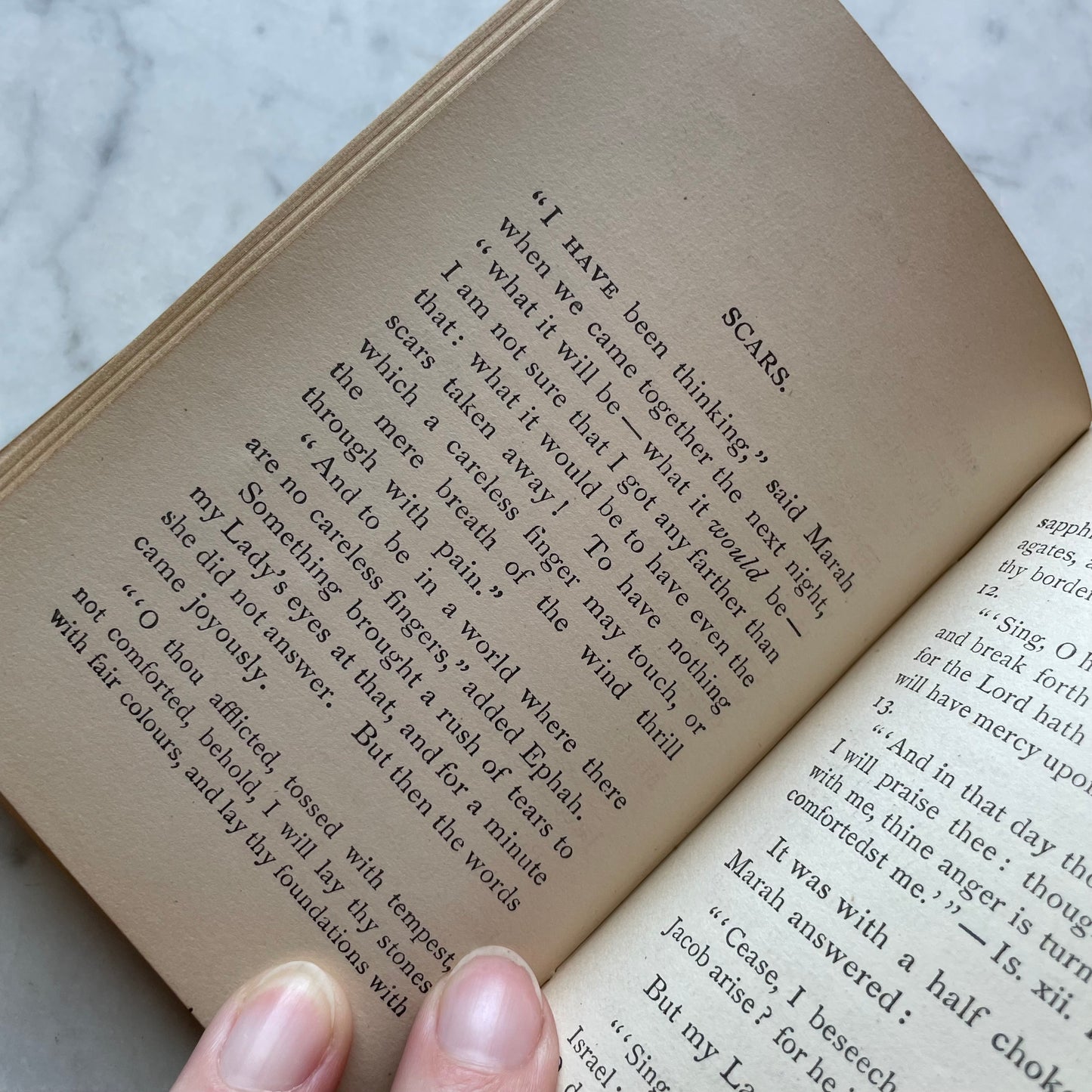 The Other Shore | Victorian Mourning Book