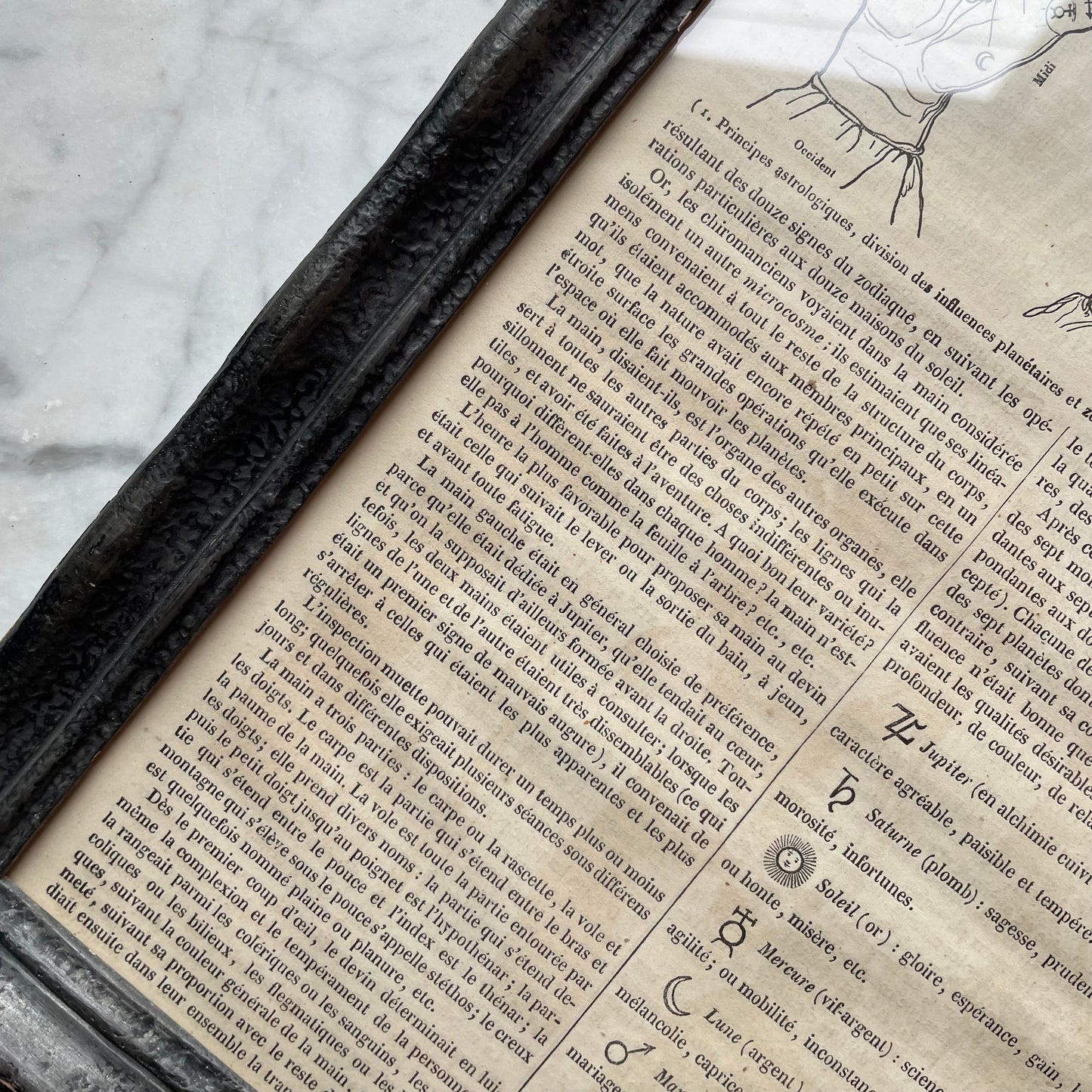 Antique French Palmistry Print