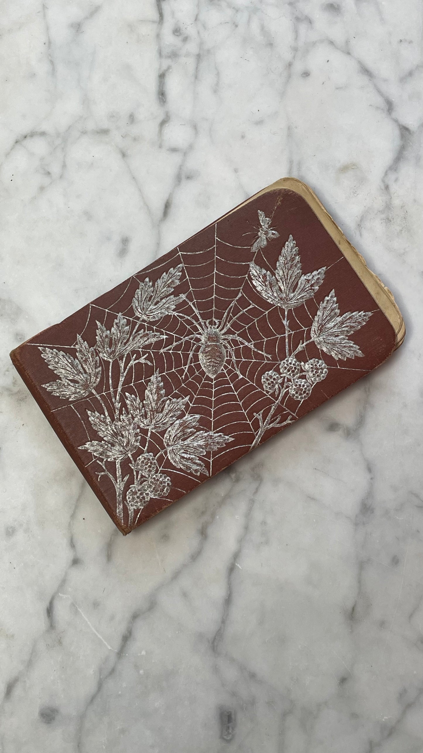 Victorian Autograph Album with Spiderwebs