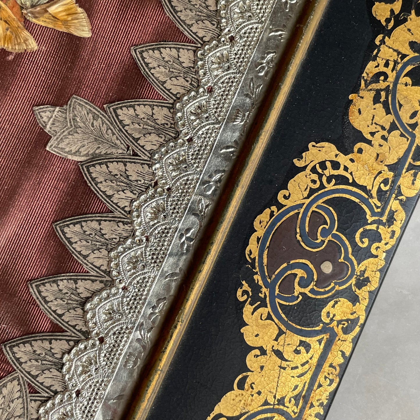 Antique Black Lacquer Folder with Butterfly Specimens on Silk