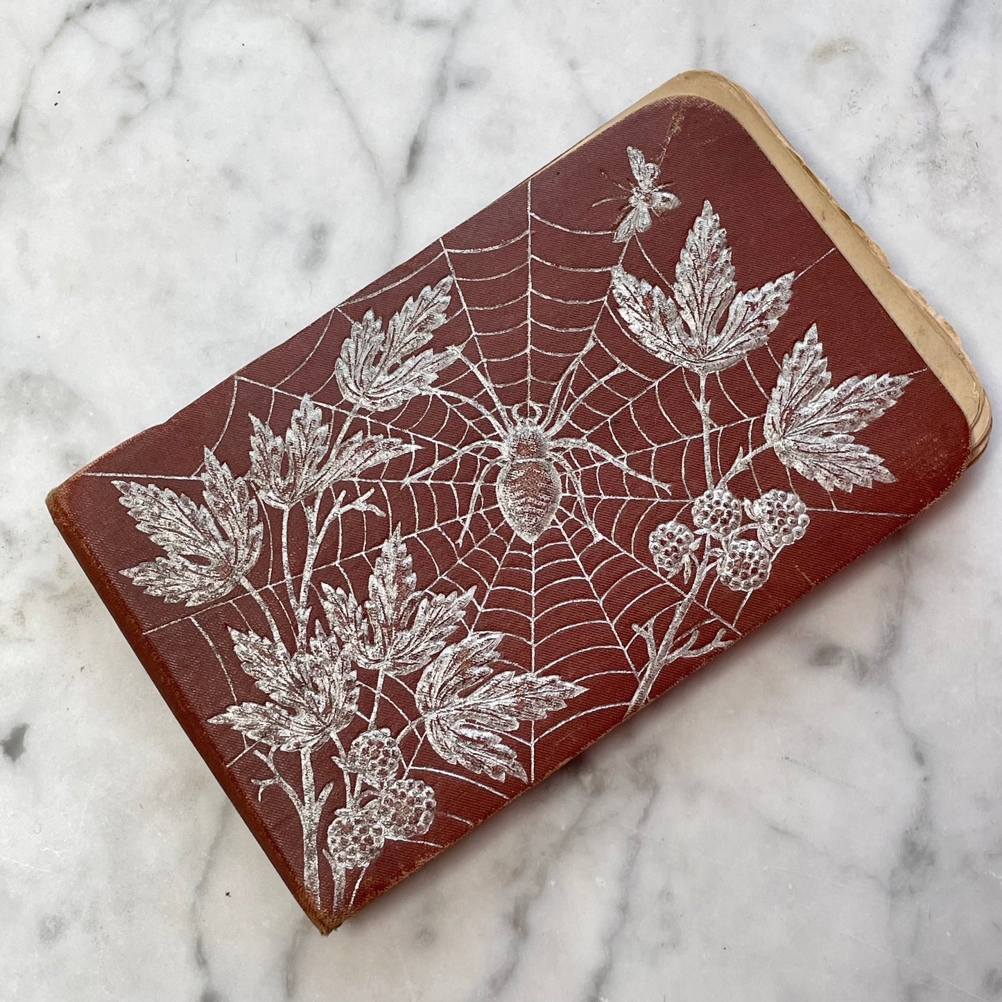 Victorian Autograph Album with Spiderwebs
