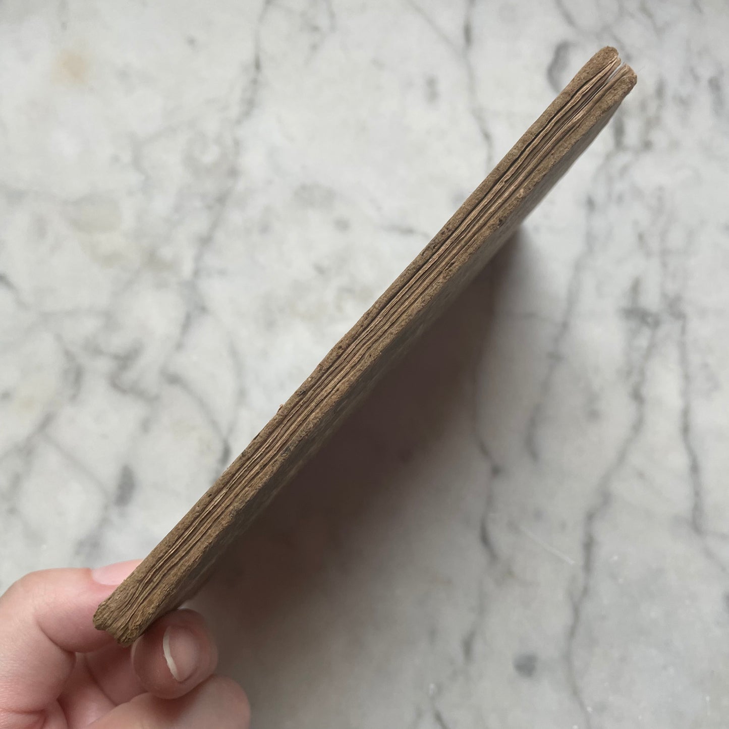 The Faded Flower | Victorian Mourning Book | 1843