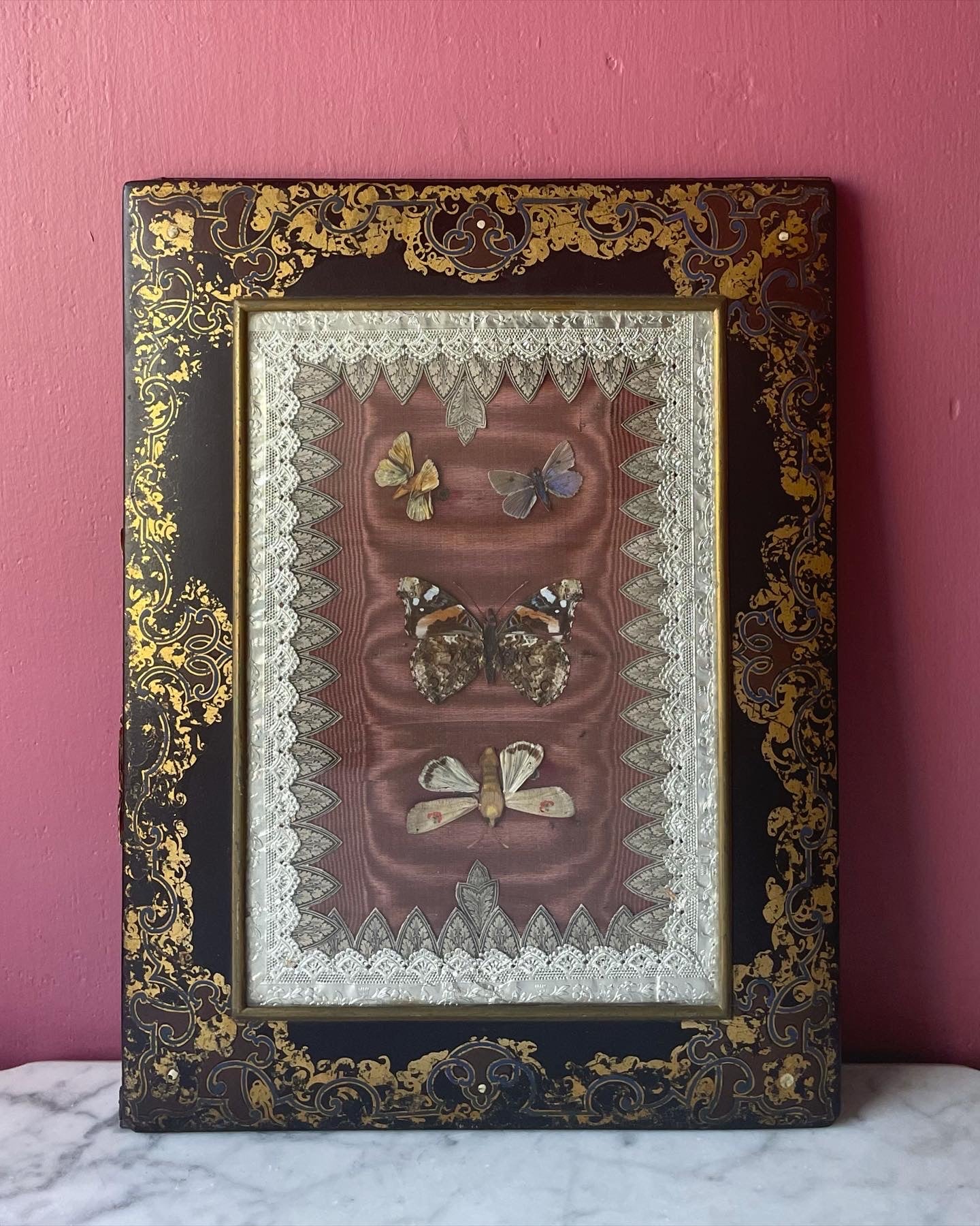 Antique Black Lacquer Folder with Butterfly Specimens on Silk