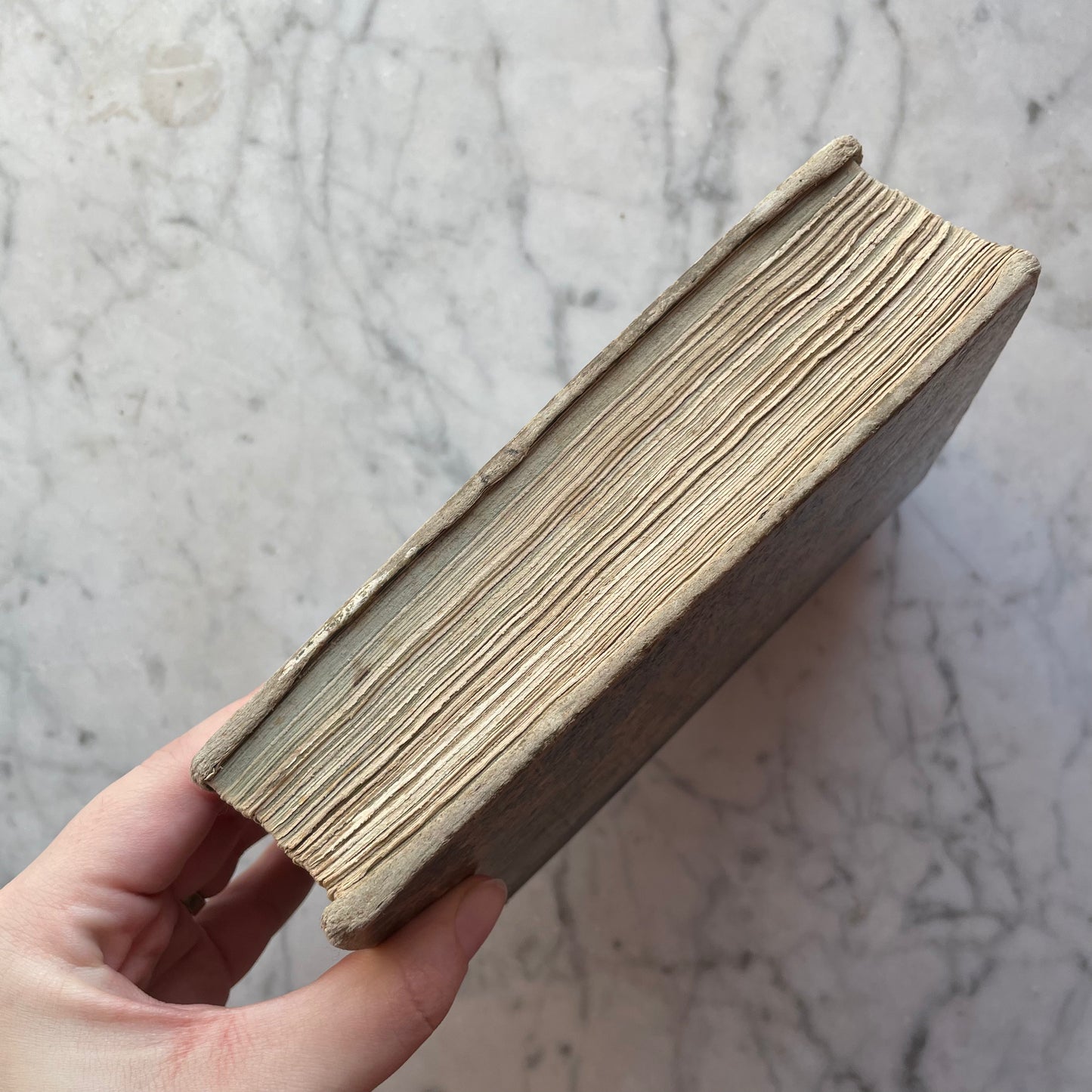Dante’s Divine Comedy | Italian Language Edition | 1849