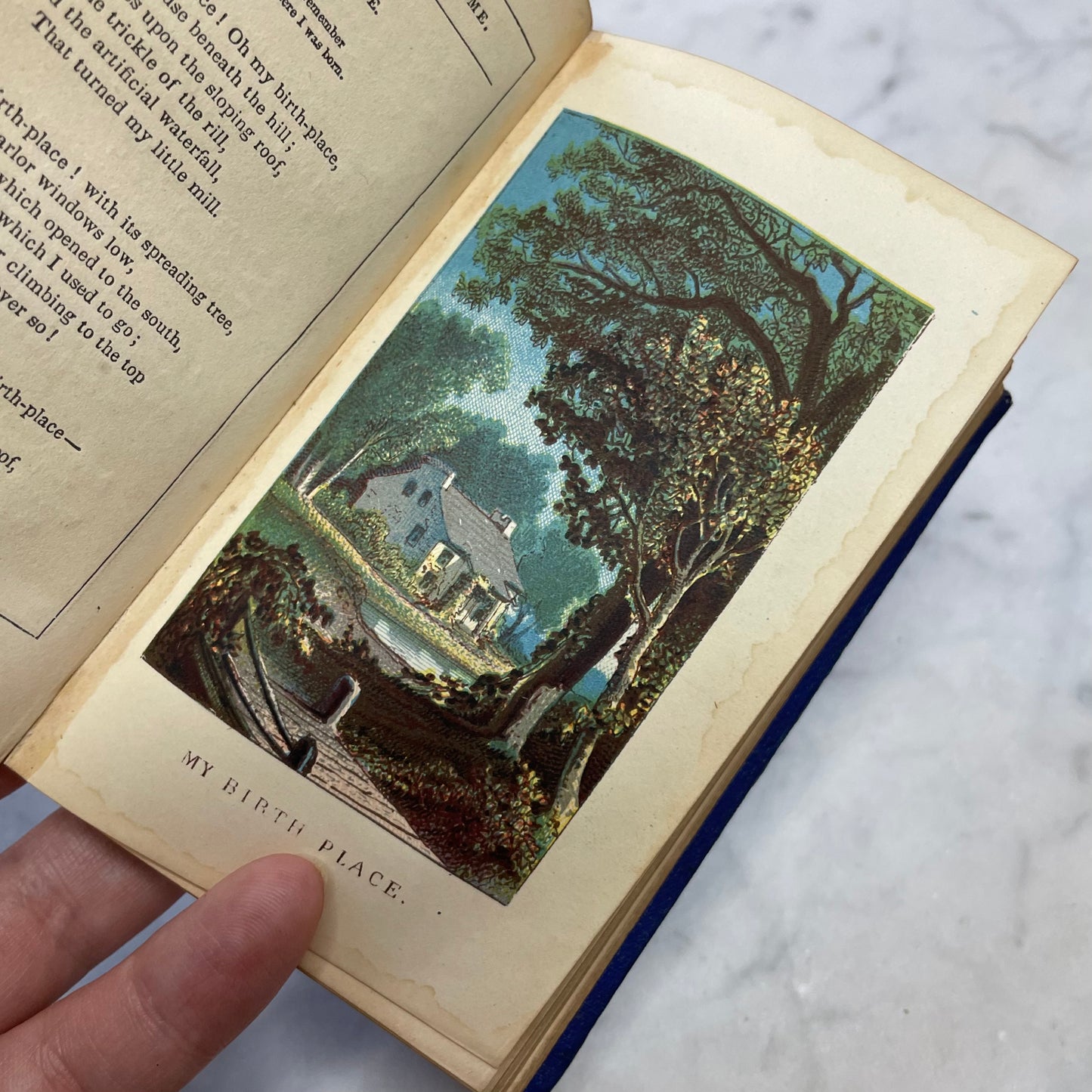 Voices from Heart & Home, 1856 | An Offering of Love from Many Voices