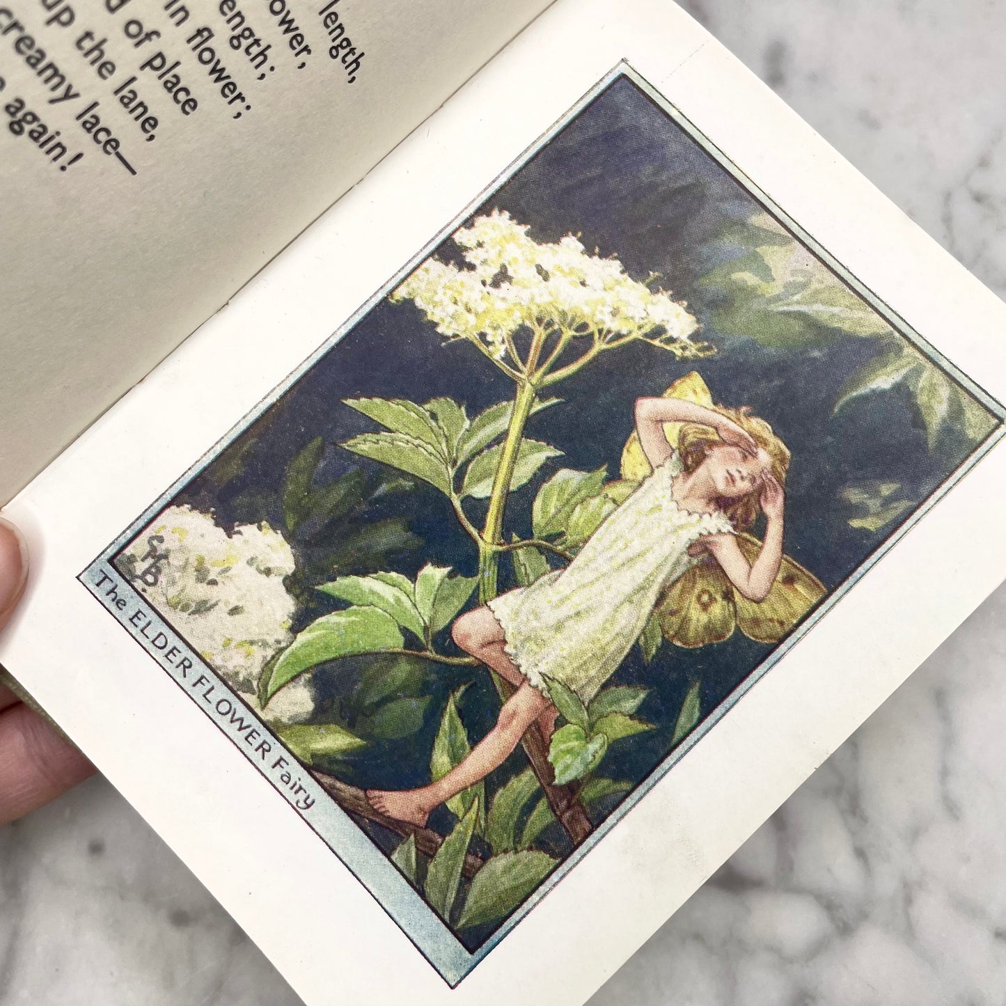 Fairies of the Trees | Cicely Mary Barker