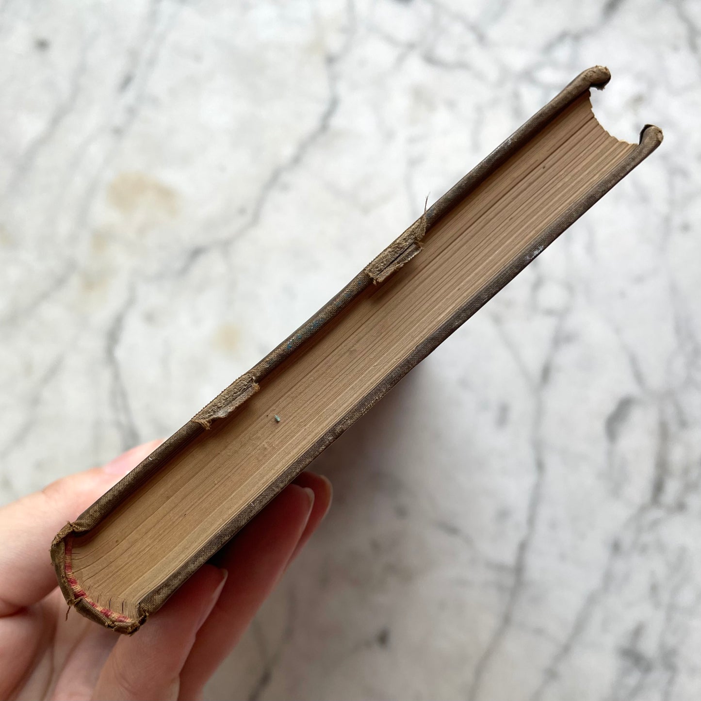 Biography of Shelley by John Addington Symonds, 1897