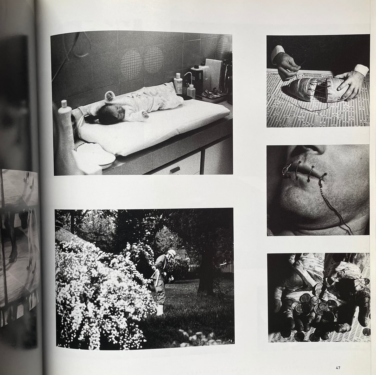 David Wojnarowicz: Brush Fires in the Social Landscape
