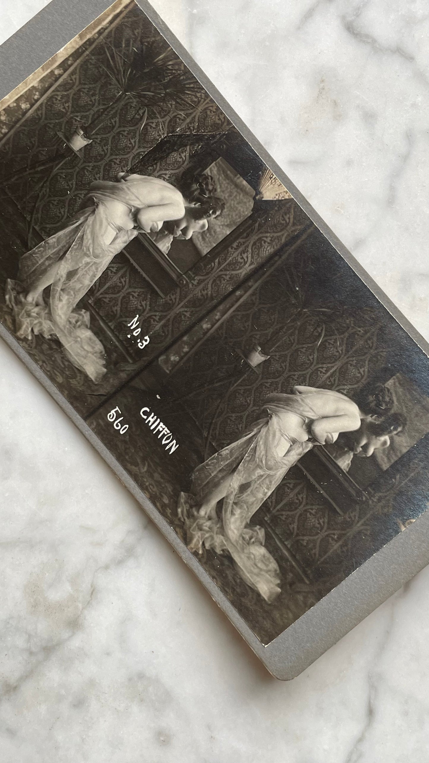 Antique Nude Stereocard Photo