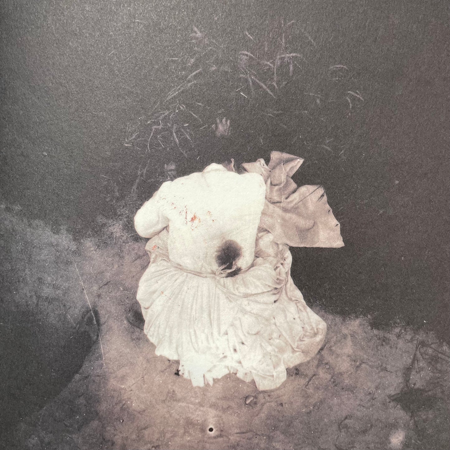 Harm’s Way: Lust & Madness, Murder & Mayhem by Dr. Stanley Burns & Joel-Peter Witkin