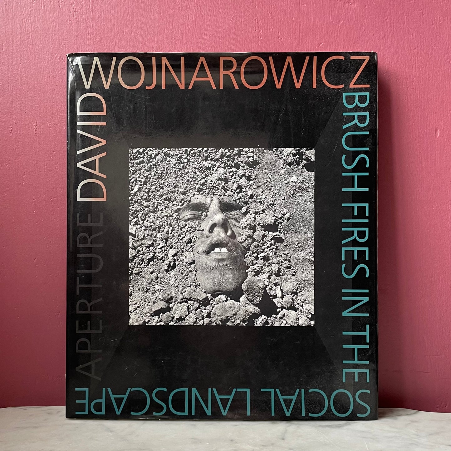 David Wojnarowicz: Brush Fires in the Social Landscape