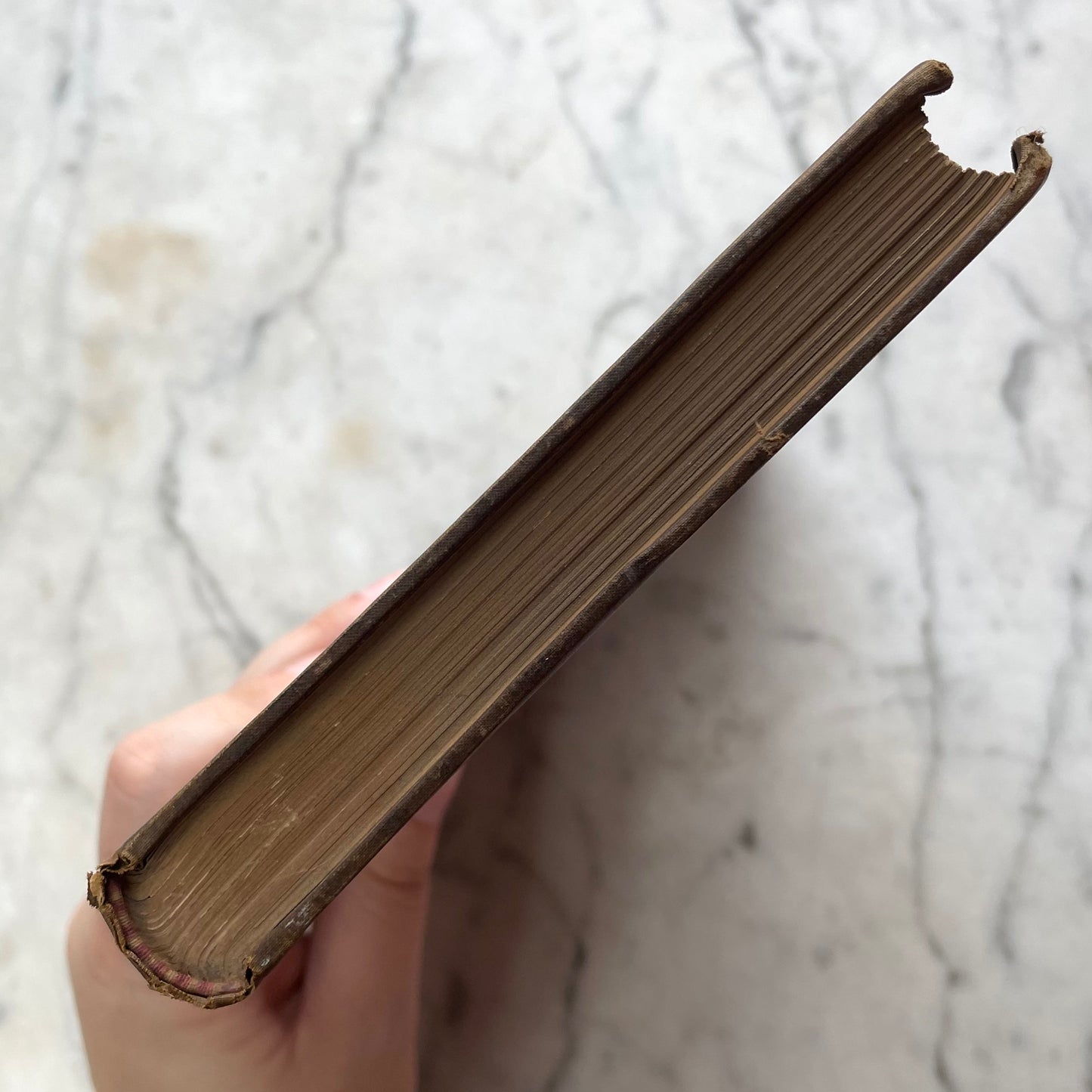 Biography of Shelley by John Addington Symonds, 1897