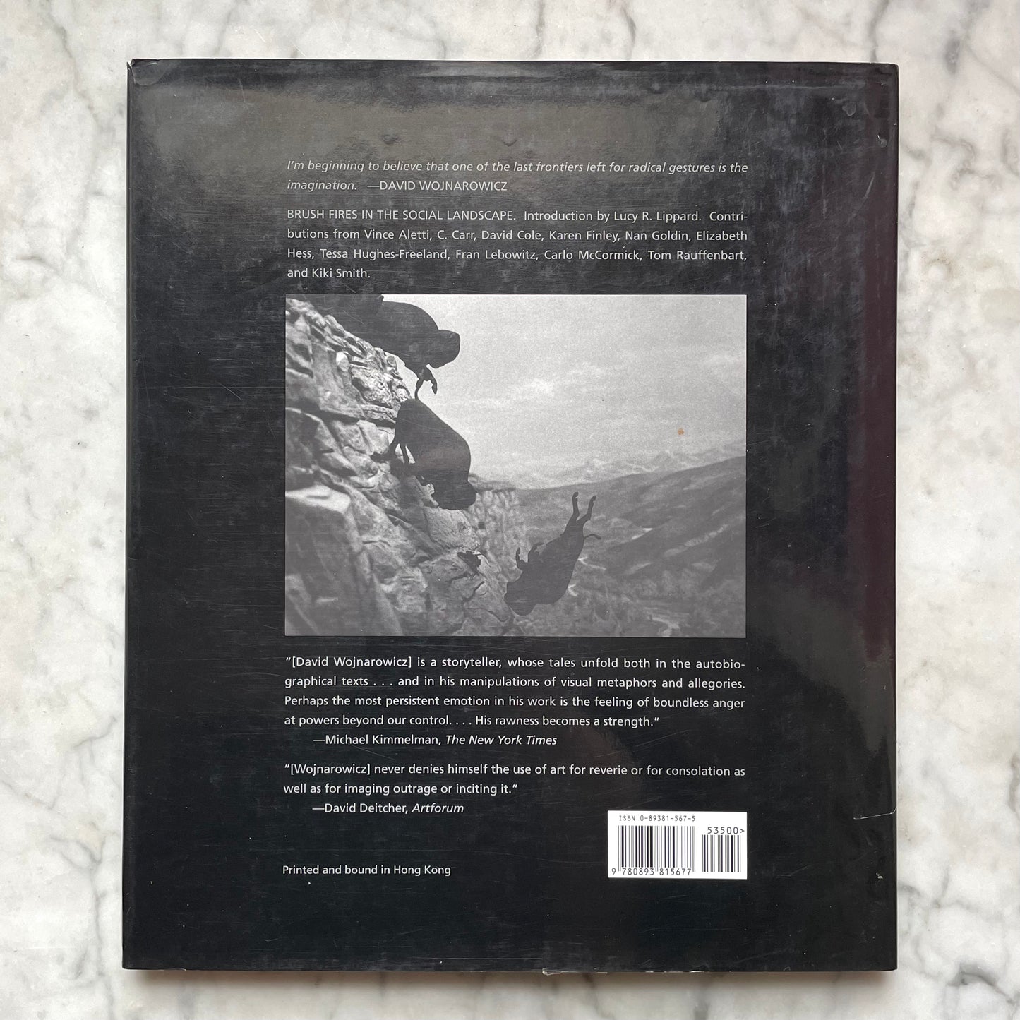 David Wojnarowicz: Brush Fires in the Social Landscape