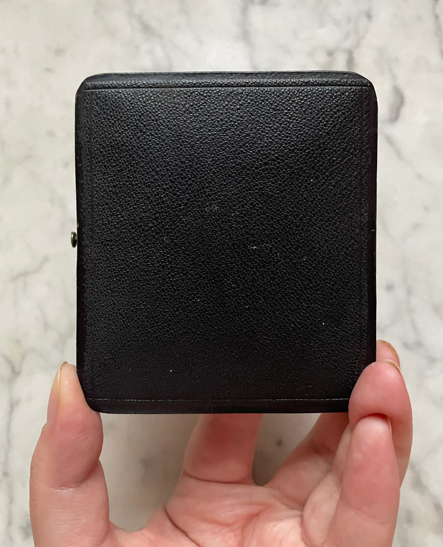Victorian Hair Keepsake in 1/6 Plate Leather Case