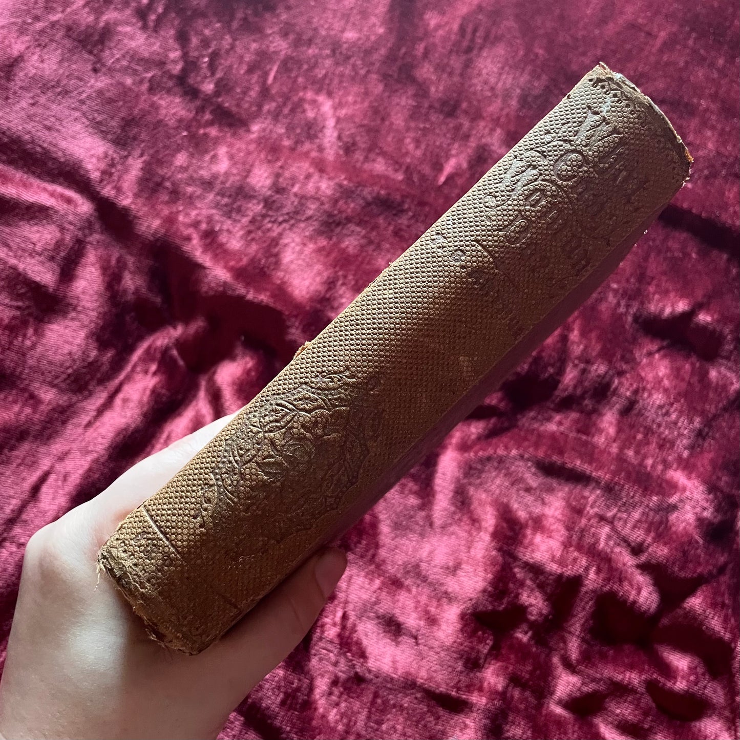 What Can Woman Do? | T. S. Arthur | 1854