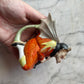 Devil Witch Pitcher | Schafer & Vater
