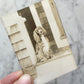 Antique Dog Snapshot