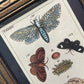 Antique Hand Colored Leopard Moth Print | Gottlieb Tobias Wilhelm | 1790s-1810