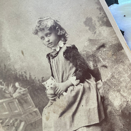 Victorian Photo of a Girl & Her Kitten