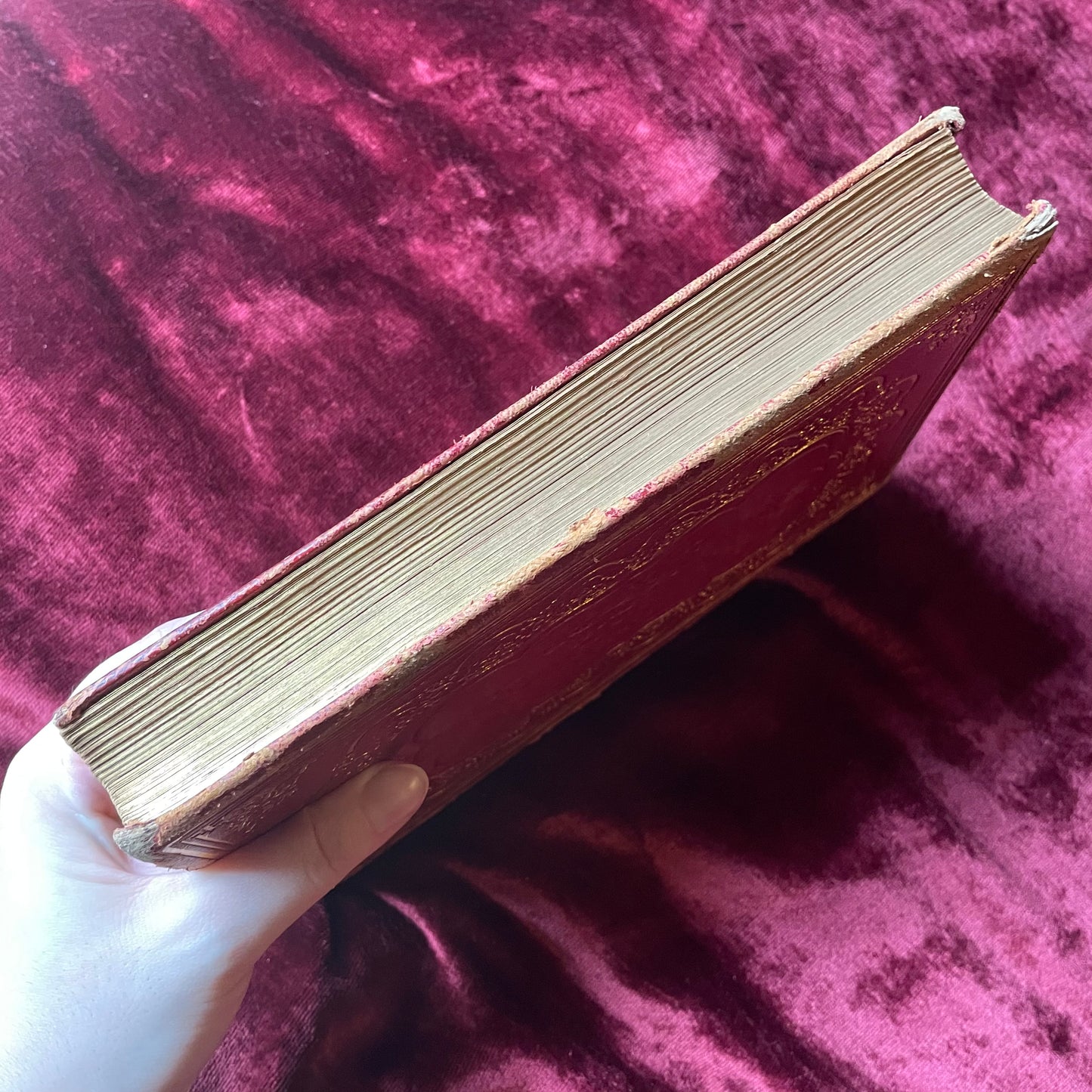 The Iris | Victorian Gift Book with Pearl Inlaid Cover